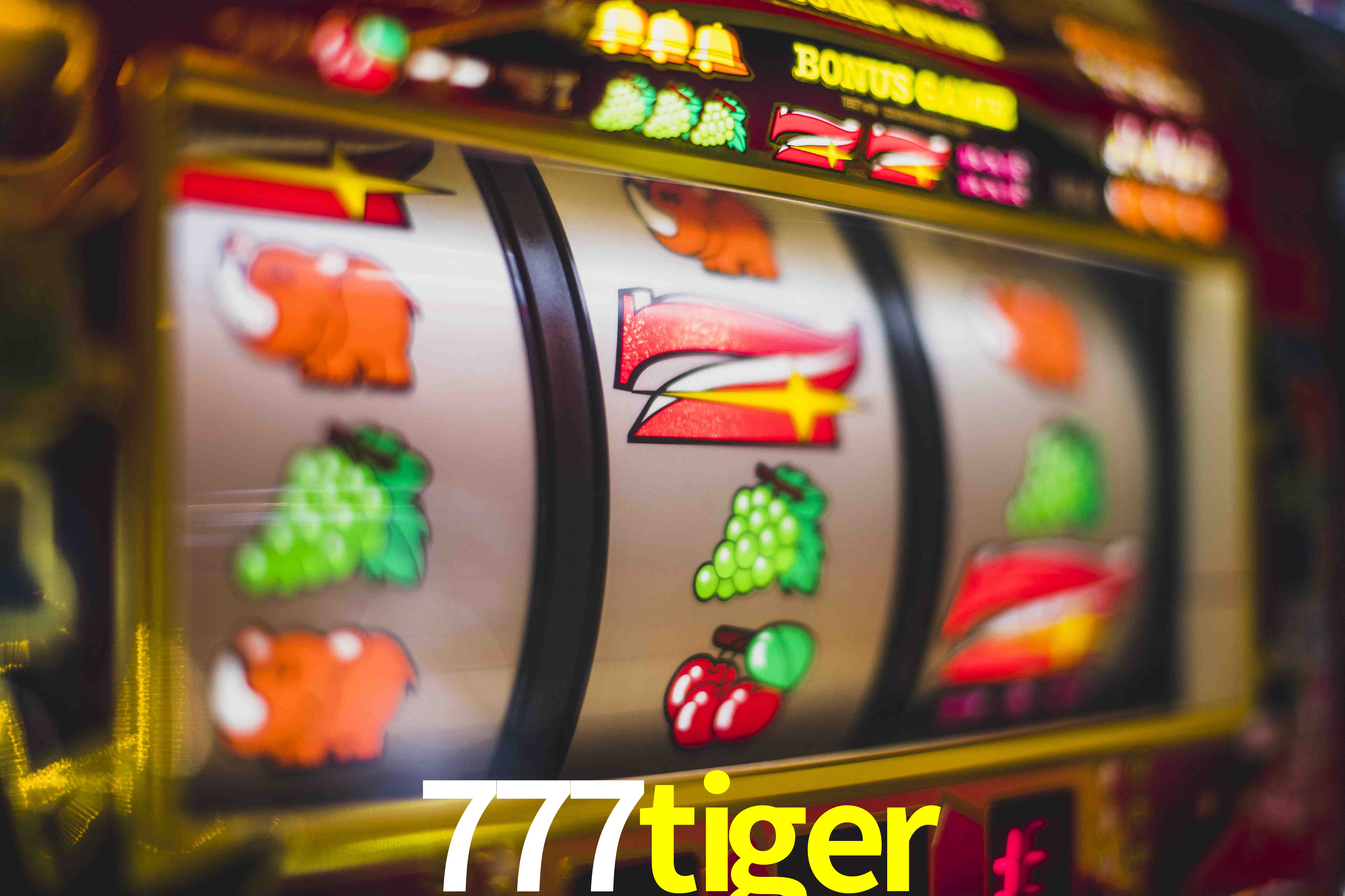 Basketball Betting 777tiger